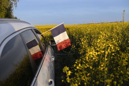 Auto fährt an einem sonnigen Tag offroad durch ein blühendes gelbes Rapsfeld. Eine französische Flagge ragt aus dem Fenster. Nationales Symbol für Freiheit und Unabhängigkeit. Europatour mit dem Auto.