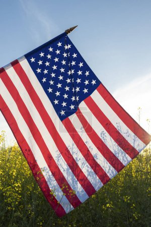 large American flag over a yellow rapeseed field. Independence Day of the United States of America. Pride, Patriotism. symbol of the country. Travel, vacation