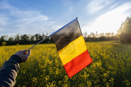 German flags against the backdrop of a blooming rapeseed field and blue sky. National symbol of freedom and independence of the country. Pride of the nation