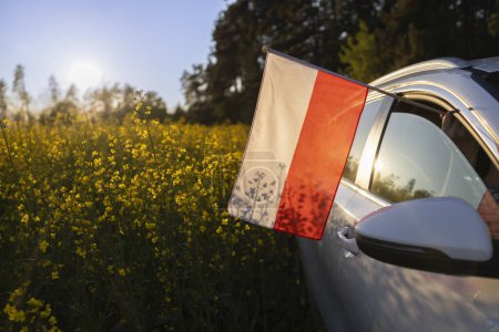 passenger car drives off-road through a blooming yellow rapeseed field on a sunny day. A Polish flag sticks out of the car window. National symbol of freedom and independence. auto tour of Europe