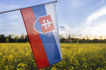 Slowakische Flagge vor dem Hintergrund eines blühenden Rapsfeldes und blauen Himmels. Nationales Symbol für Freiheit und Unabhängigkeit des Landes. Stolz auf die Nation, Liebe zum Vaterland