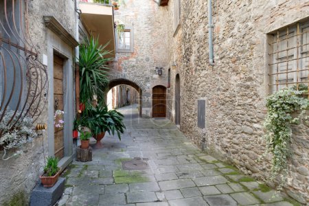 Hidden alley in Borgo a Mozzano village, province of Lucca . Tuscany, Italy