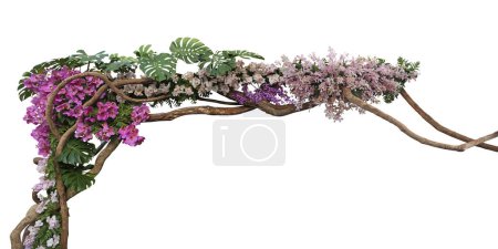 Téléchargez les photos : Ambiances tropicales plante buisson arrangement floral avec feuilles tropicales Monstera et fougère et diverses orchidées fleurs tropicales décor sur branche d'arbre liane plante de vigne isolé sur fond blanc - en image libre de droit