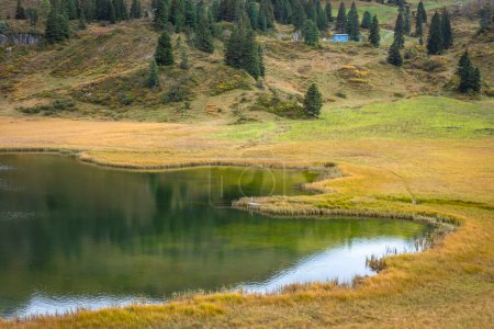 Téléchargez les photos : Promenade le long du magnifique lac de montagne Kalbelesee dans les Alpes à Hochtannberg avec des plantes colorées dans le Vorarlberg, Autriche - en image libre de droit