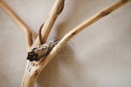 Foto de Base terapéutica con un manojo de salvia seca perfumada y ramas de madera natural. - Imagen libre de derechos