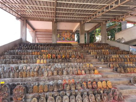 Photo for Bangalore, Karnataka, India-Oct 27, 2022: Closeup of beautiful large numbers of Nagara Kallu or Puja Cobra Snake located in the Mukti Naga Temple. - Royalty Free Image