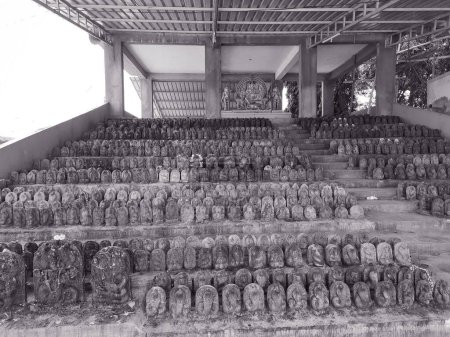 Photo for Bangalore, Karnataka, India-Oct 27, 2022: Closeup of beautiful large numbers of Nagara Kallu or Puja Cobra Snake located in the Mukti Naga Temple. - Royalty Free Image