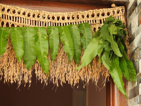 Primer plano de hermosas hojas de mango reales y toran de arroz con fondo tradicional.