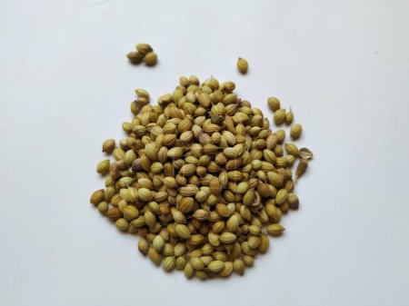 Texture and Backdrop of Dhaniya Seeds. tas de graines de coriandre ou de dhania isolées dans un fond blanc