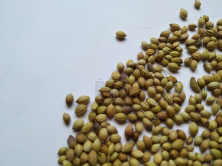 Textur und Hintergrund der Dhaniya-Samen. Haufen Koriander- oder Dhania-Samen isoliert in einem weißen Hintergrund