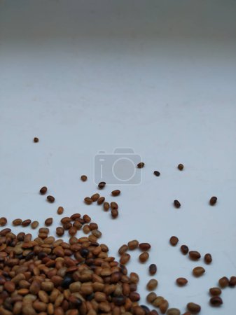 Pile and Texture of Hurali Kalu or Horse Gram isolated on white background. Closeup of horse gram seeds which is used in cooking.