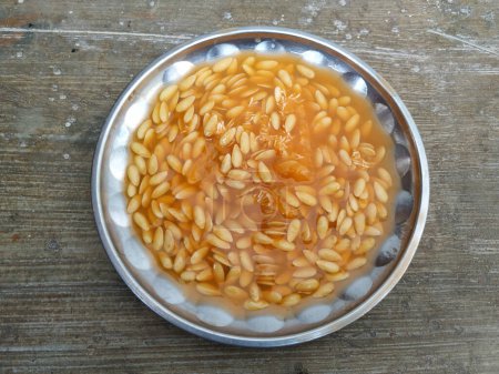 Closeup of a Group of Muskmelon Fruit Seeds in a Steel Plate. Musk Melon Fruit seeds texture