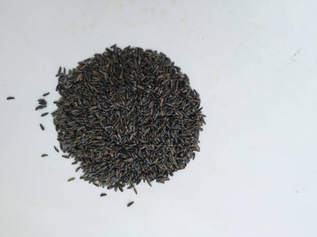 Vue rapprochée de graines de niger dispersées à faible profondeur de champ. Pile et tas de couleur noire Uchellu ou Gurellu. Ces graines sont utilisées dans les masalas par le peuple du Karnataka du Nord.