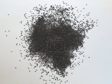 Nahaufnahme von schwarzen Chia-Samen verstreut Textur isoliert auf weißem Hintergrund