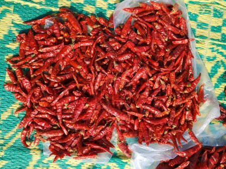 Chiles rojos brillante Textura roja Fondo. Especia india Pimiento Capsicum utilizado en la preparación de la cocina de alimentos picantes.