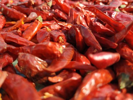 Chiles rojos brillante Textura roja Fondo. Especia india Pimiento Capsicum utilizado en la preparación de la cocina de alimentos picantes.