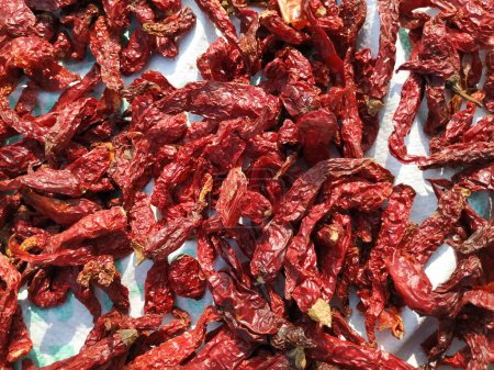 Rote Chilischoten leuchtend rote Textur Hintergrund. Indisches Gewürz Paprika wird in der Zubereitung scharfer Speisen verwendet.