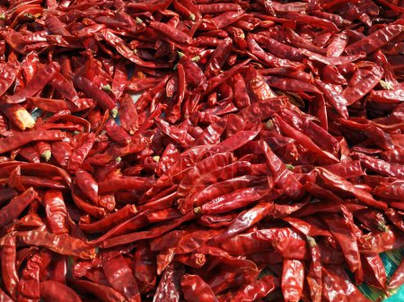 Rote Chilischoten leuchtend rote Textur Hintergrund. Indisches Gewürz Paprika wird in der Zubereitung scharfer Speisen verwendet.