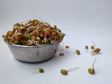 Closeup of Mixed Sprouts in a Steel Cup isolated on white Background