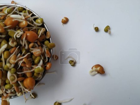 Closeup of Mixed Sprouts in a Steel Cup isolated on white Background
