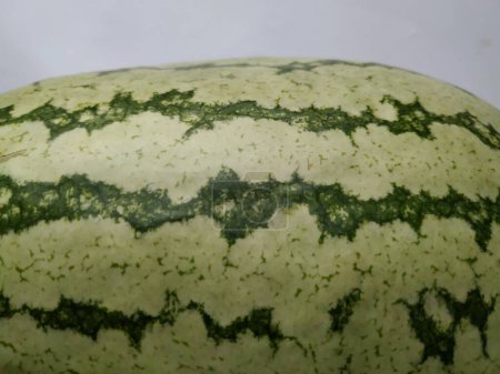 Primer plano de la textura abstracta y el patrón de la piel externa de la fruta del melón de agua