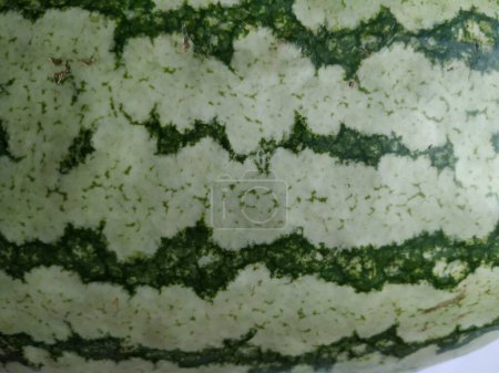 Nahaufnahme abstrakter Textur und Muster der Außenhaut von Wassermelonen