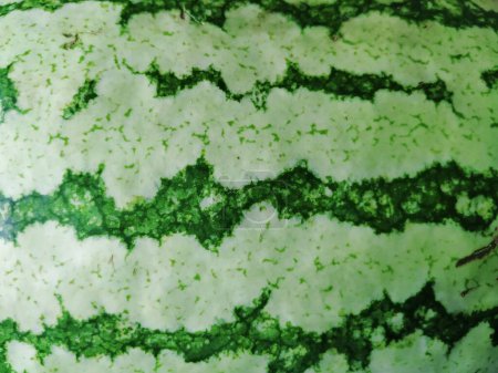 Nahaufnahme abstrakter Textur und Muster der Außenhaut von Wassermelonen