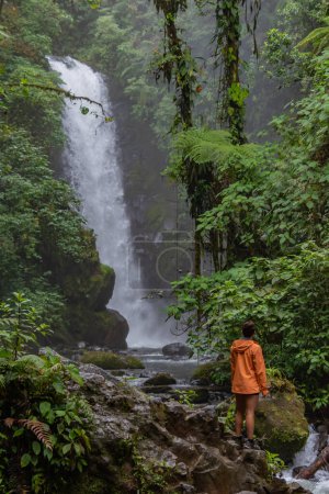 Foto de Una hermosa cascada en el bosque - Imagen libre de derechos