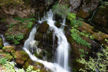 Foto de Hermoso arroyo de montaña con cascada en el bosque. - Imagen libre de derechos