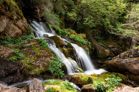 Foto de Hermosa cascada en el bosque - Imagen libre de derechos