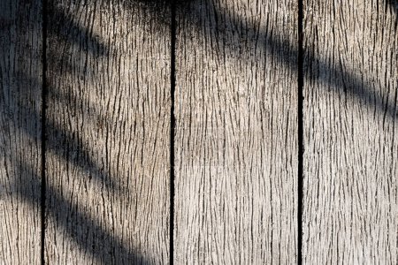 Foto de La sombra de una palmera sobre una superficie de madera - Imagen libre de derechos