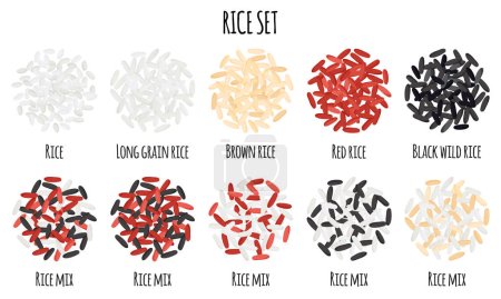 Téléchargez les illustrations : Rice set with White, Red, Brown, Black wild and Long grain rice. Natural organic food collection. Vector cartoon isolated illustration. - en licence libre de droit