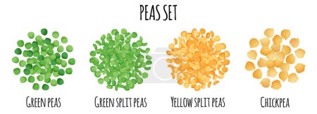 Illustration for Peas set with Green, Yellow, Split and Chickpea. Natural organic food collection. Vector cartoon isolated illustration. - Royalty Free Image