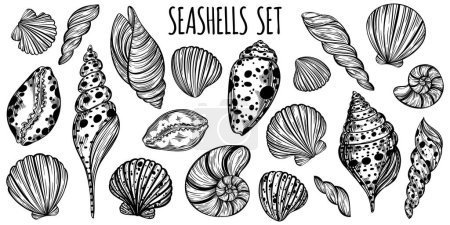 Ilustración de Seashells and mollusk marine sketch set for design of invitation, fabric, textile, etc. Vector outline sketch black isolated illustration. - Imagen libre de derechos