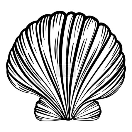 Ilustración de Marine pearl seashell or mollusk for design of invitation, fabric, textile, etc. Vector outline sketch black isolated illustration. - Imagen libre de derechos