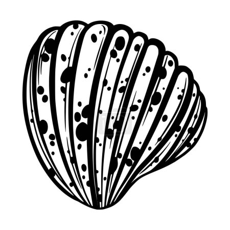 Ilustración de Marine seashell or mollusk with dots for design of invitation, fabric, textile, etc. Vector outline sketch black isolated illustration. - Imagen libre de derechos
