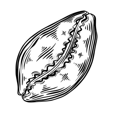 Ilustración de Marine seashell, mollusk or bivalve for design of invitation, fabric, textile, etc. Vector outline sketch black isolated illustration. - Imagen libre de derechos