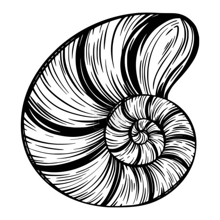 Ilustración de Marine seashell, mollusk or snail for design of invitation, fabric, textile, etc. Vector outline sketch black isolated illustration. - Imagen libre de derechos