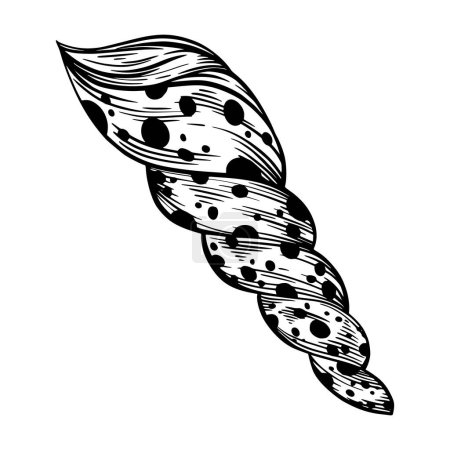 Ilustración de Marine spiral seashell with dots for design of invitation, fabric, textile, etc. Vector outline sketch black isolated illustration. - Imagen libre de derechos