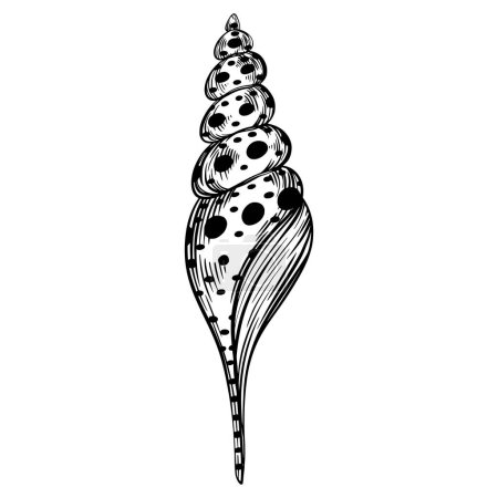 Ilustración de Marine spiral seashell or oceanshell with dots for design of invitation, fabric, textile, etc. Vector outline sketch black isolated illustration. - Imagen libre de derechos