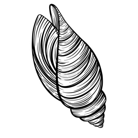 Ilustración de Marine spiral seashell or oceanshell for design of invitation, fabric, textile, etc. Vector outline sketch black isolated illustration. - Imagen libre de derechos