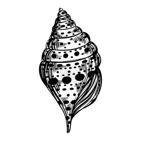 Ilustración de Marine spiral seashell or oceanshell with pattern for design of invitation, fabric, textile, etc. Vector outline sketch black isolated illustration. - Imagen libre de derechos