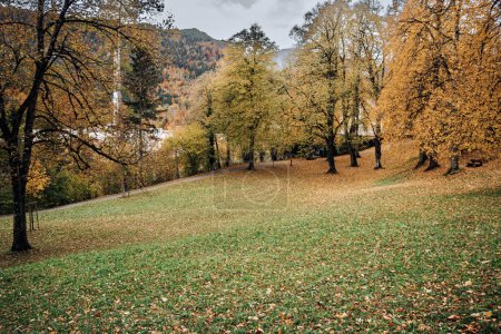 Herbstliche Gelassenheit: Die ruhige Landschaft eines Parks