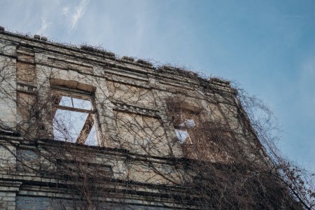 Téléchargez les photos : Ruines d'un vieux bâtiment, couvertes de vignes et fenêtres cassées contre le ciel bleu - en image libre de droit