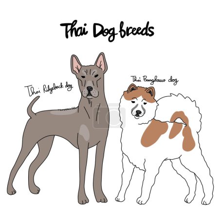 Téléchargez les illustrations : Illustration vectorielle de carte de dessin animé de race chien thaïlandaise - en licence libre de droit