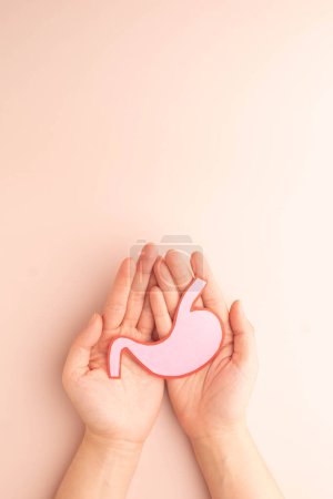 Human hands holding stomach organ made from paper on beige background. Concept of gastric cancer screening, stomach transplant, digestive tract problem and stomach disease treatment. Vertical.
