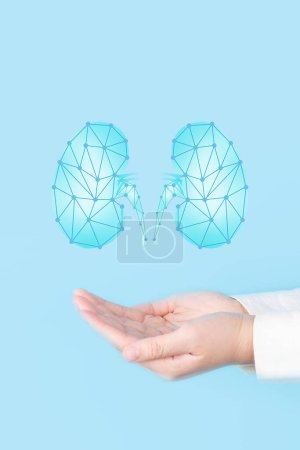 Día mundial del riñón. Médico nefrólogo revisa holograma de órganos renales sobre fondo azul. Tecnología médica para diagnosticar enfermedades renales. Trasplante renal, concepto de donación de órganos. Nefrología.