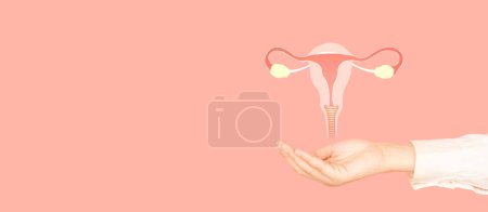 Photo for Uterus and ovaries anatomy on doctor hand over pink backgroud. Awareness of women health care such as endometriosis, PCOS, STDs, ovarian, cervical cancer screening. Gynecology and reproductive system. - Royalty Free Image