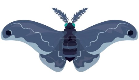 Illustration for Giant silk blue colored moth vector illustration - Royalty Free Image
