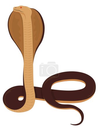 Téléchargez les illustrations : Serpent cobra debout avec son illustration vectorielle à capuche ouverte - en licence libre de droit